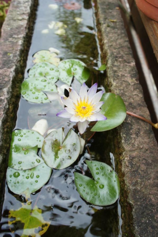 Cheng-Ping Hot Spring Inn Wenquan Eksteriør billede
